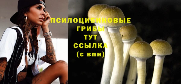ECSTASY Абдулино