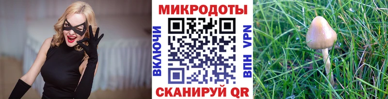 Псилоцибиновые грибы Psilocybe  Усть-Катав 
