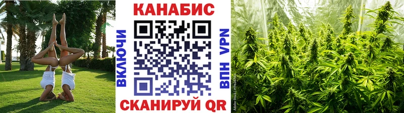 Каннабис Bruce Banner Усть-Катав